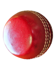 Seam Training Cricket Ball Flat – Red Leather Wind Ball for Seniors & Juniors