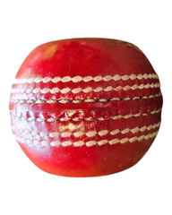 Seam Training Cricket Ball Flat – Red Leather Wind Ball for Seniors & Juniors