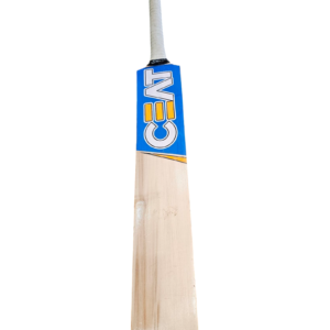 CEAT Kashmir Willow Cricket Bat